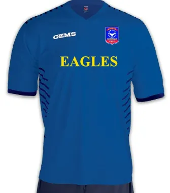 Game Jersey (blue)