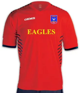 Game Jersey (red)